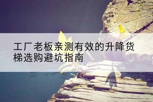 环县升降货梯怎么选-工厂老板亲测有效的升降货梯选购避坑指南