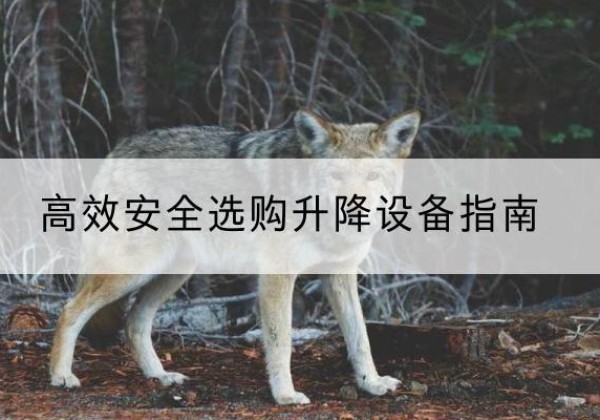 环县升降货梯厂家推荐-*安全选购升降设备指南
