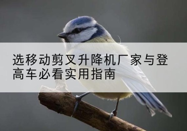 环县电动升降机厂家-选移动剪叉升降机厂家与登高车必看实用指南