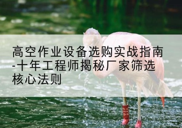 环县剪叉式升降机厂家-高空作业设备选购实战指南-十年工程师揭秘厂家筛选核心法则