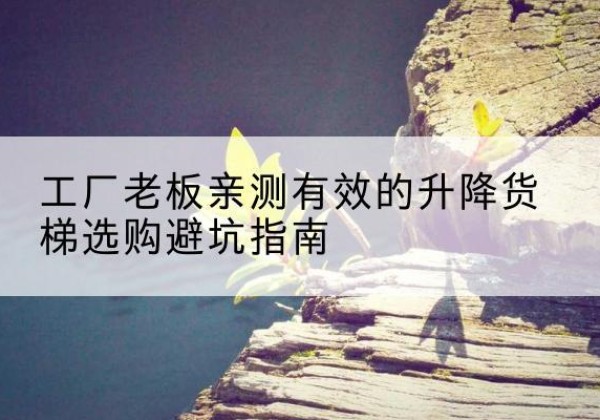 环县升降货梯怎么选-工厂老板亲测有效的升降货梯选购避坑指南